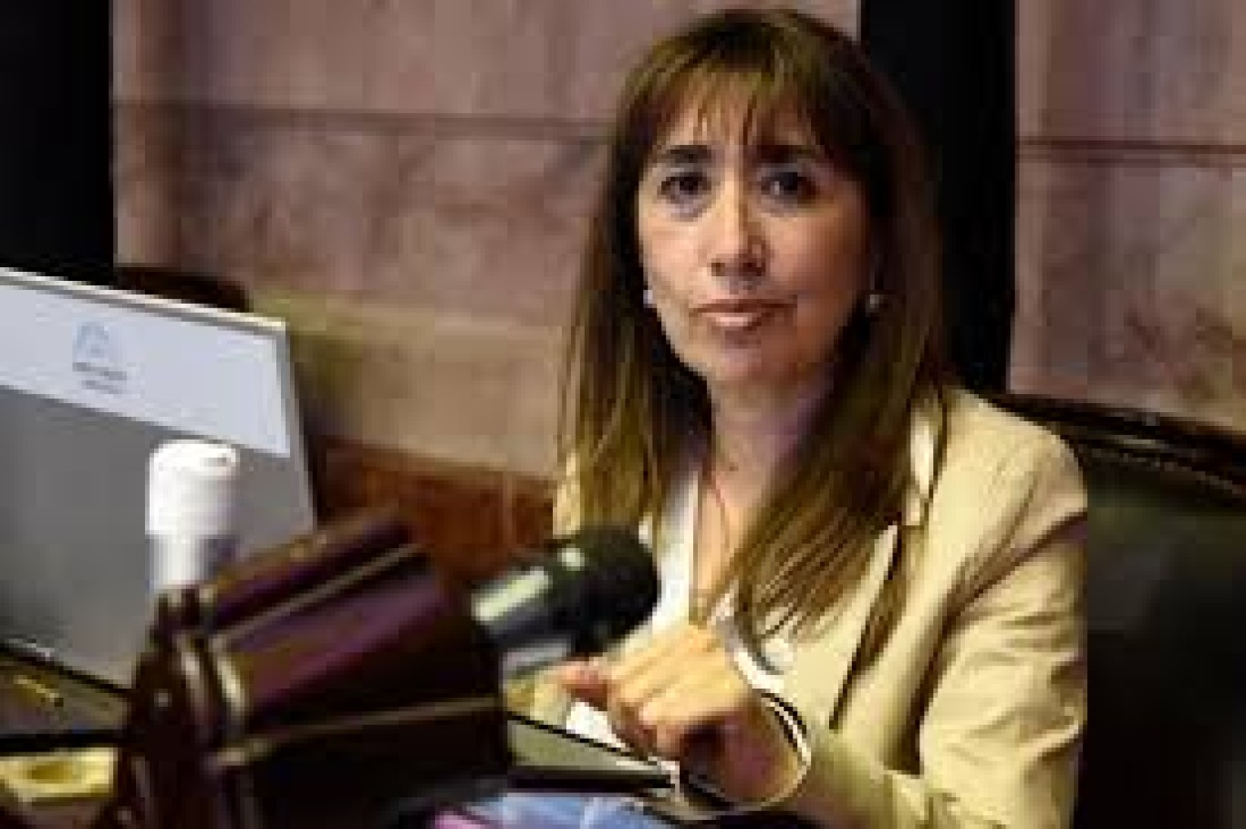 Roxana Reyes: "hay que aplicar con cuidado en el bisturí del equilibrio fiscal".