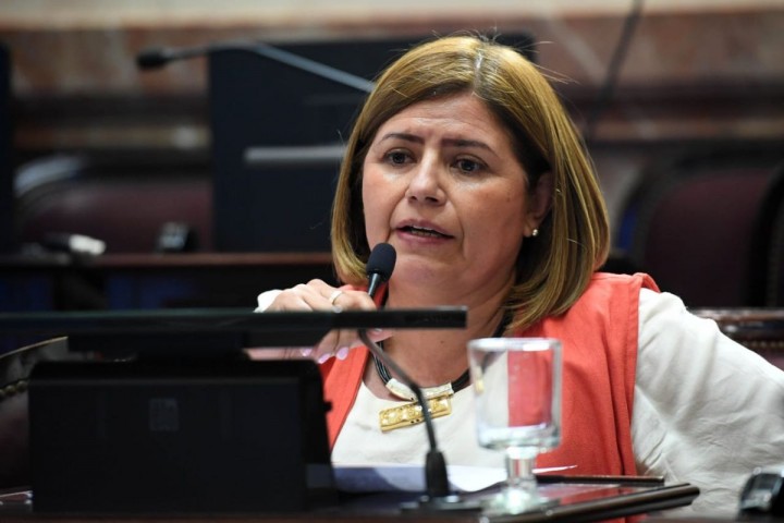 Clara Vega: "Presentamos un proyecto para que no proscriban los delitos sexuales contra menores"