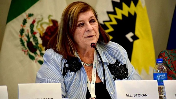 María Luisa Storani: "Yo plantearé apoyar a Massa, pero habrá que ver lo que decide el partido"