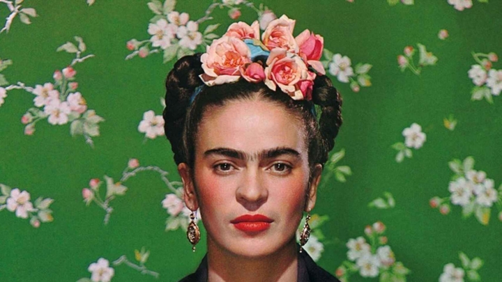 Las luces y las sombras de Frida