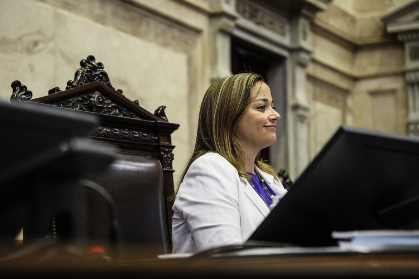 "Son una empresa que se convirtieron en un partido político...", Cecilia Moreau.