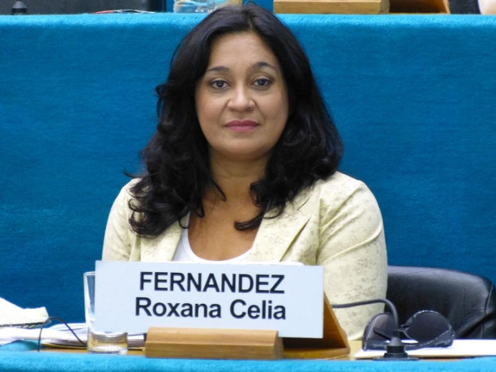 Roxana Fernandez:  "Es pensar en configurar una ciudad completamente diferente".